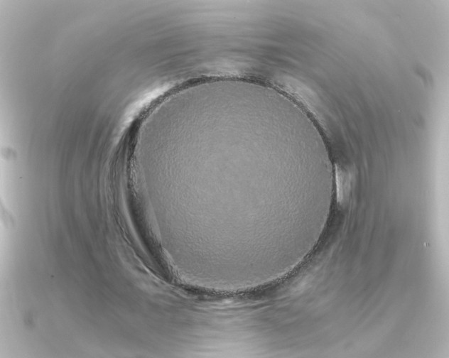 X0000091180675200708091222