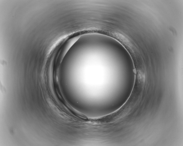 X0000091180676200708091222
