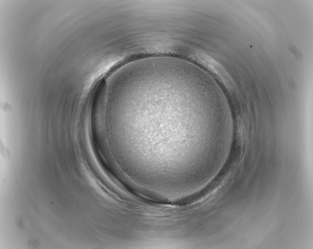 X0000091180677200708091222