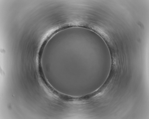 X0000091180678200708091222
