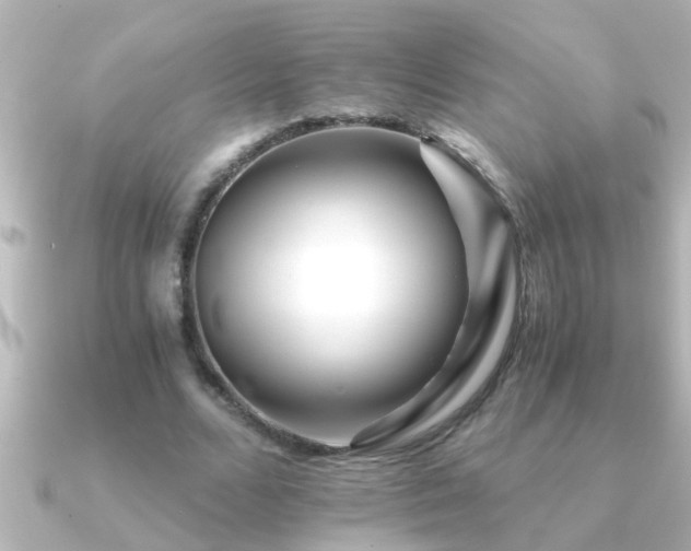 X0000091180680200708091222