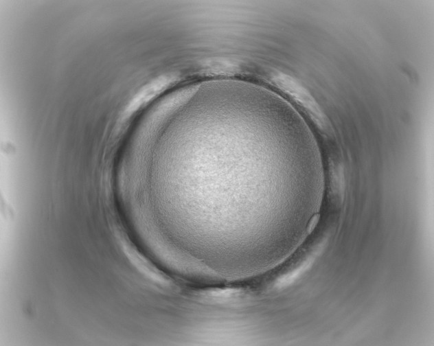 X0000091180681200708091222