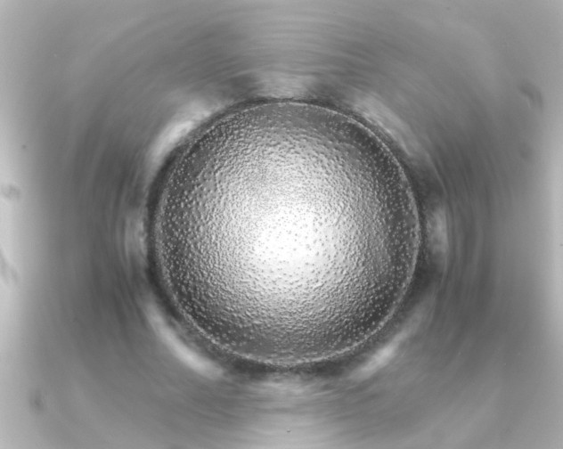 X0000091180682200708091222