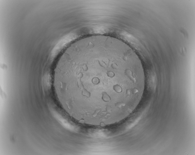 X0000091180683200708091222