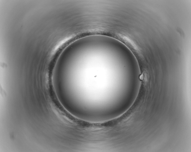 X0000091180684200708091222