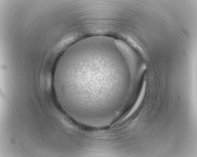 X0000091180685200708091222