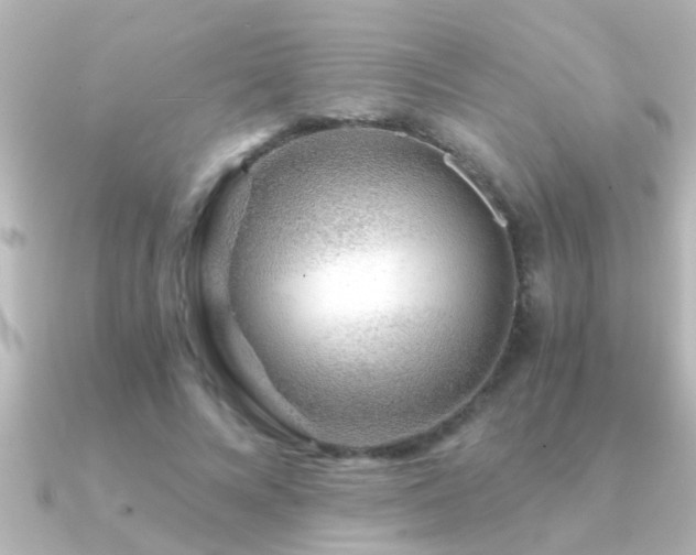 X0000091180688200708091222