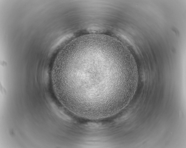 X0000091180690200708091222