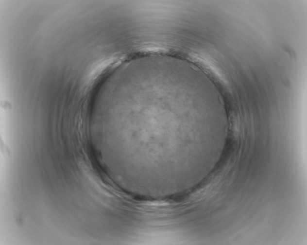 X0000091180692200708091222