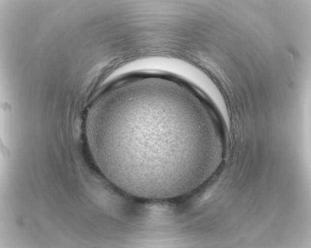 X0000091180693200708091222