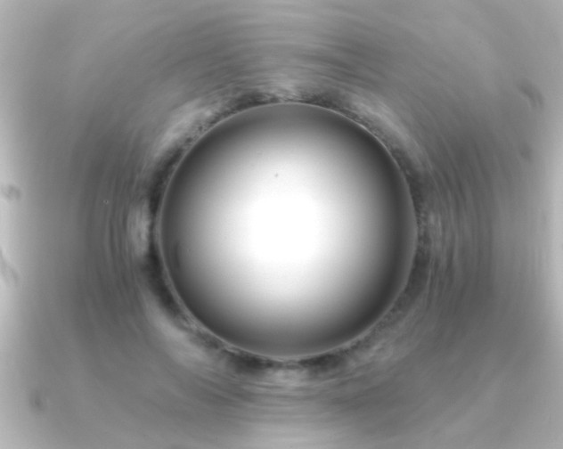 X0000091180694200708091222