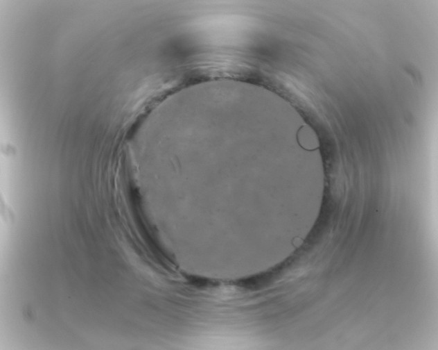X0000091180695200708091222