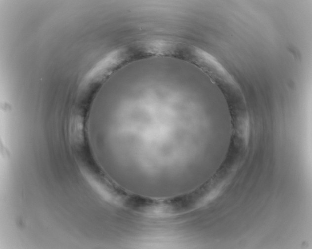 X0000091180696200708091222
