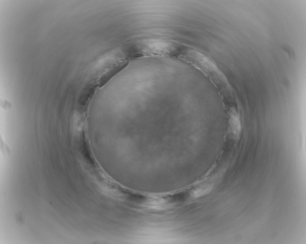 X0000091180701200708091222
