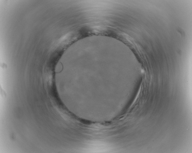 X0000091180703200708091222