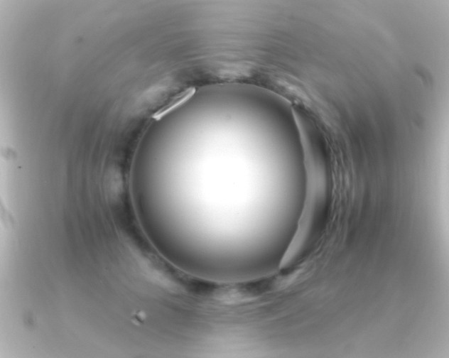 X0000091180704200708091222