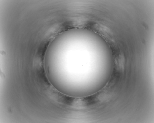 X0000091180705200708091222