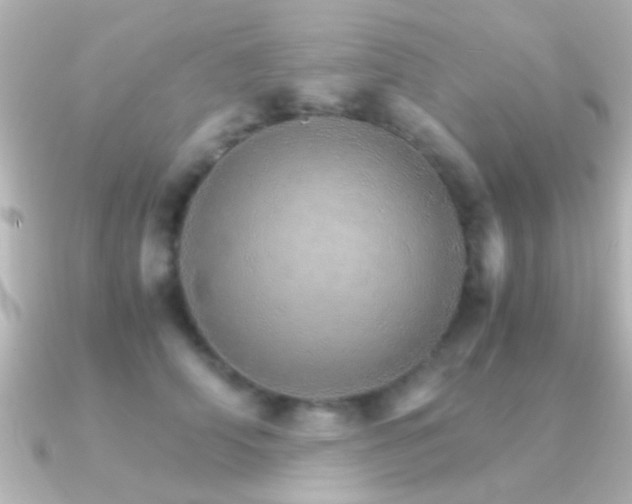 X0000091180706200708091222