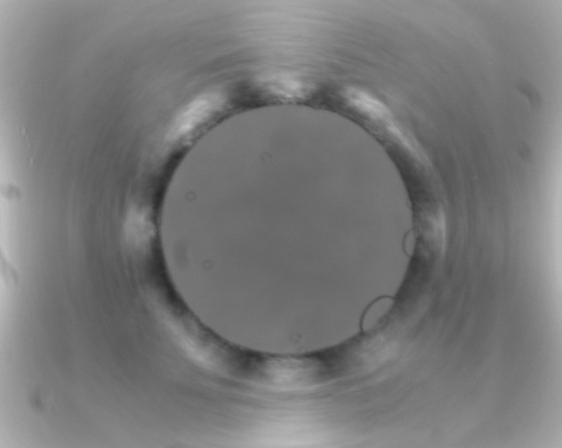 X0000091180707200708091222