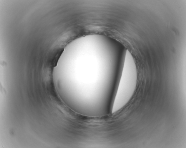 X0000091180708200708091222