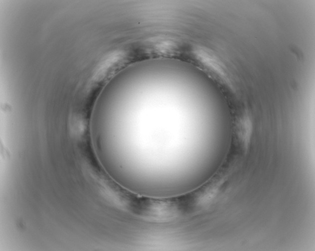 X0000091180709200708091222