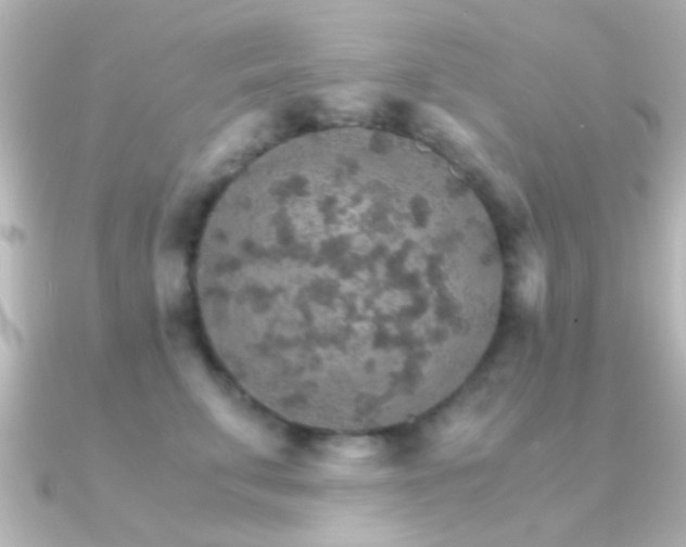X0000091180711200708091222
