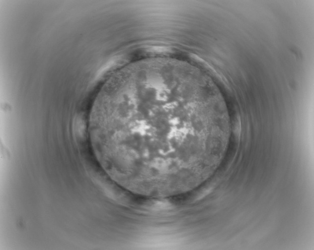 X0000091180715200708091222