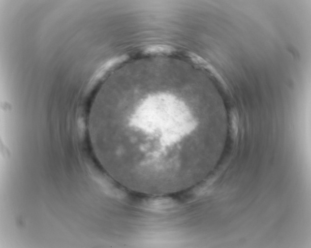X0000091180716200708091222