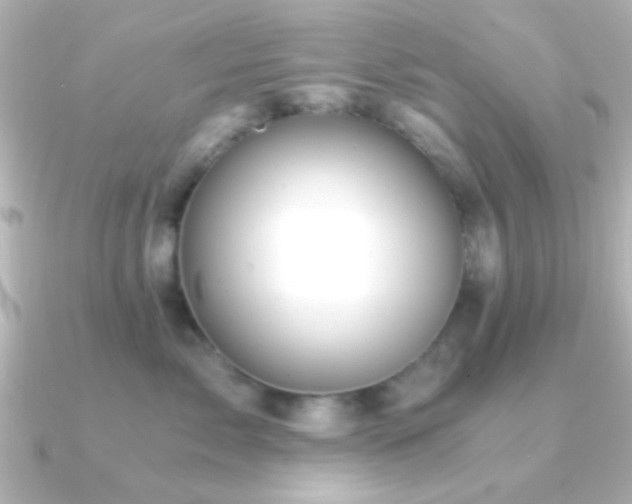 X0000091180717200708091222