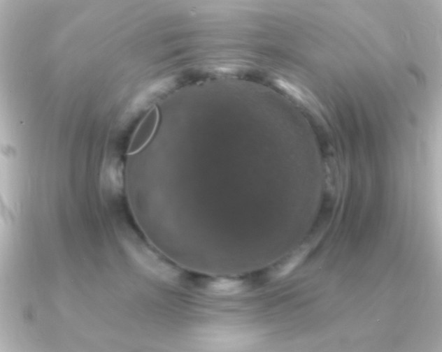 X0000091180718200708091222
