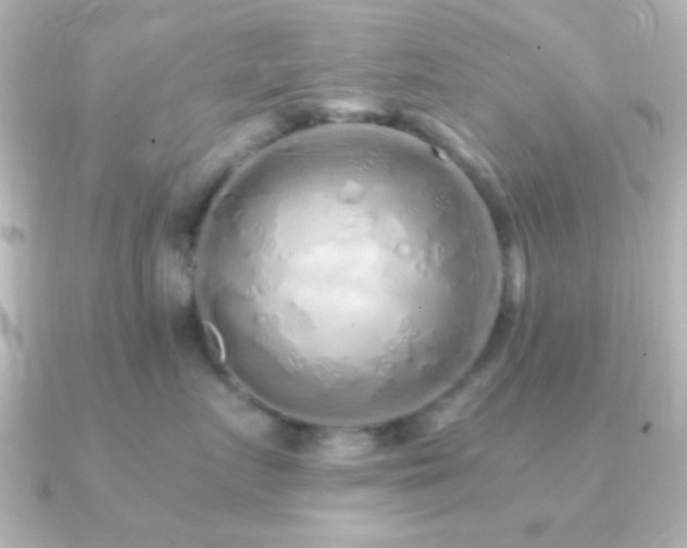 X0000091180719200708091222