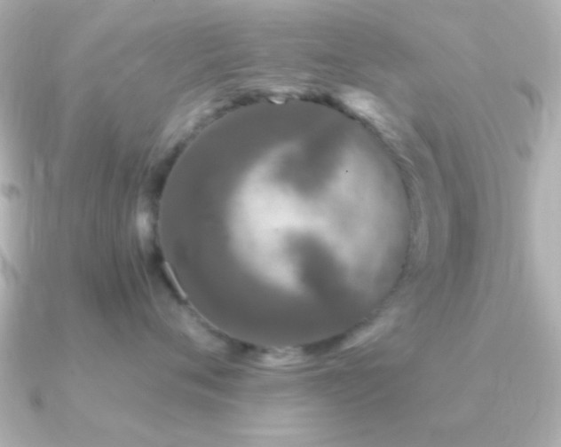 X0000091180720200708091222