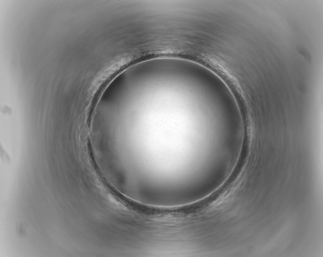 X0000091180721200708091221
