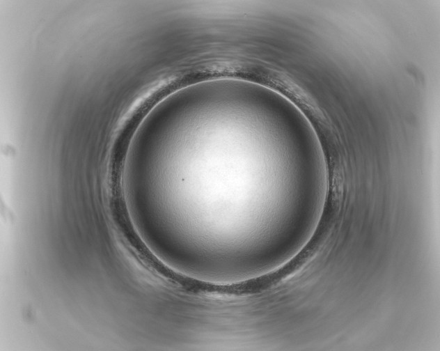 X0000091180722200708091221