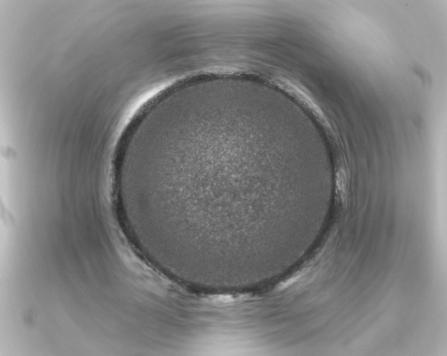 X0000091180724200708091221