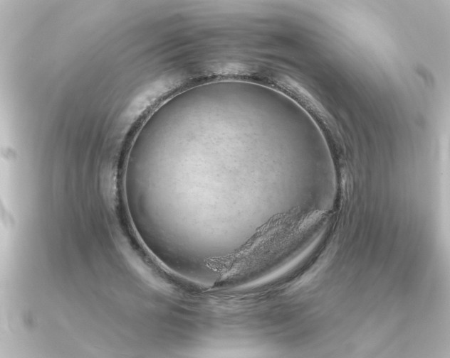 X0000091180725200708091221