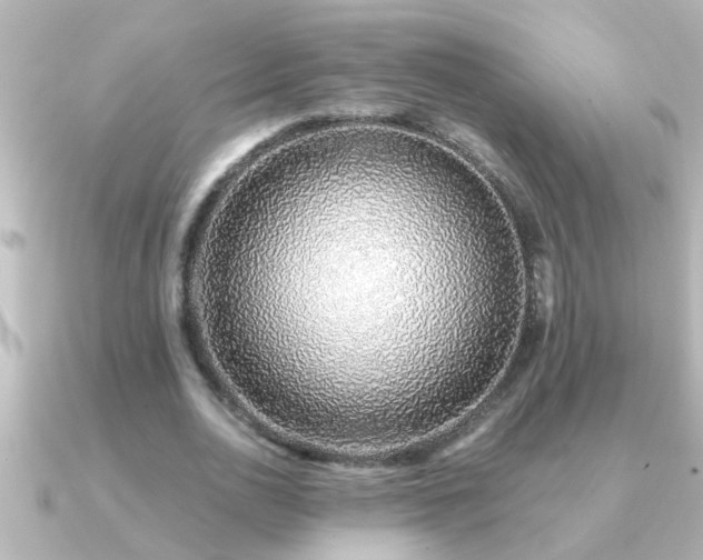 X0000091180726200708091221