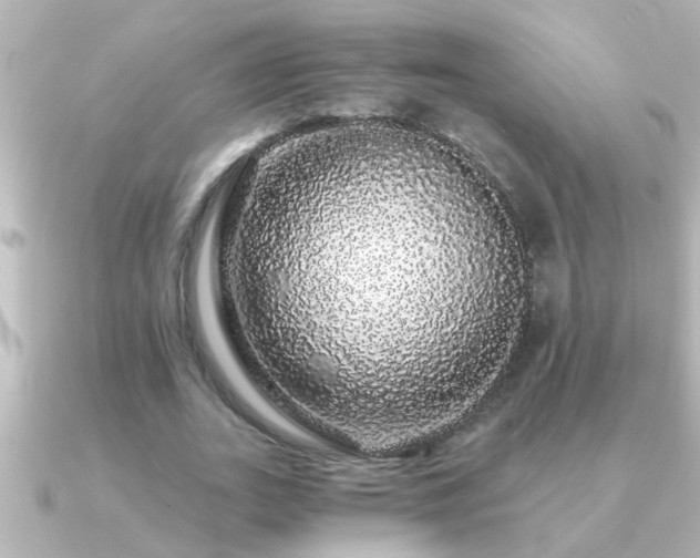 X0000091180727200708091221