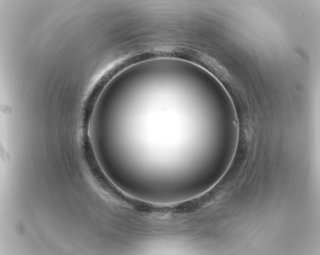 X0000091180728200708091221