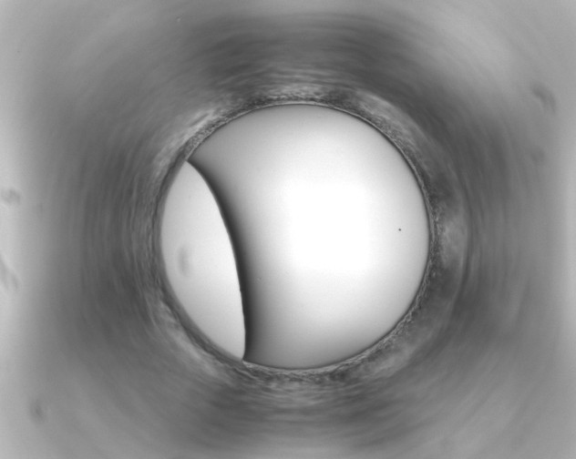 X0000091180729200708091221