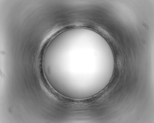 X0000091180730200708091221