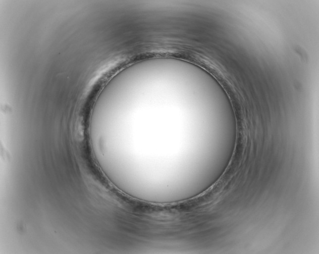X0000091180731200708091221