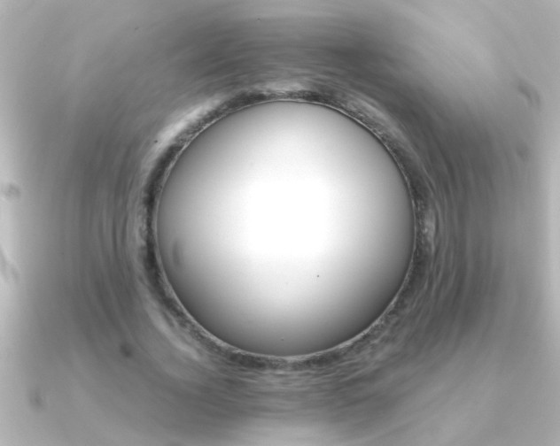 X0000091180732200708091221