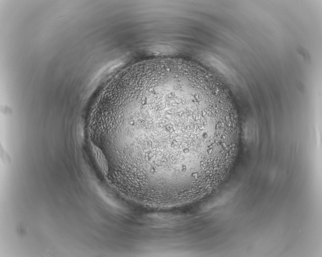 X0000091180733200708091221