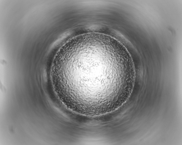 X0000091180734200708091221