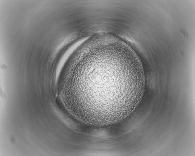 X0000091180735200708091221