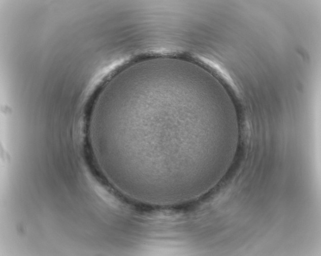 X0000091180736200708091221