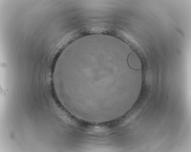 X0000091180737200708091221