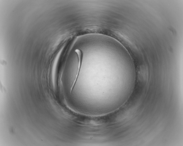 X0000091180739200708091222