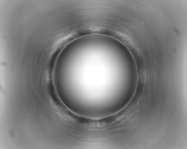 X0000091180740200708091222